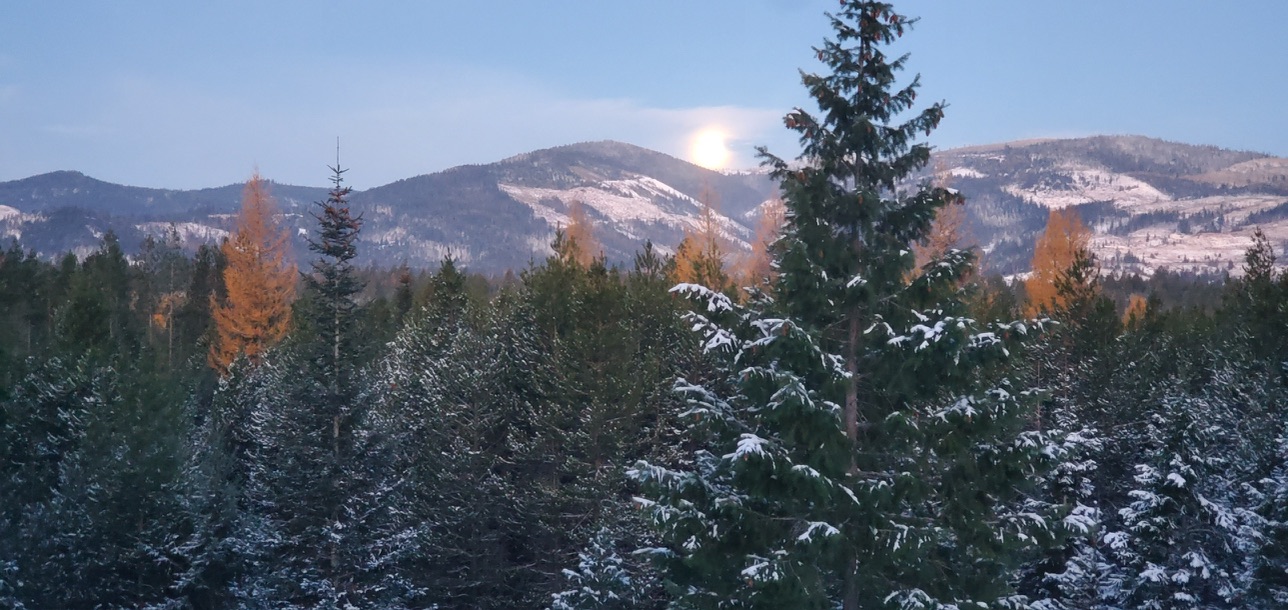 North Idaho landscape