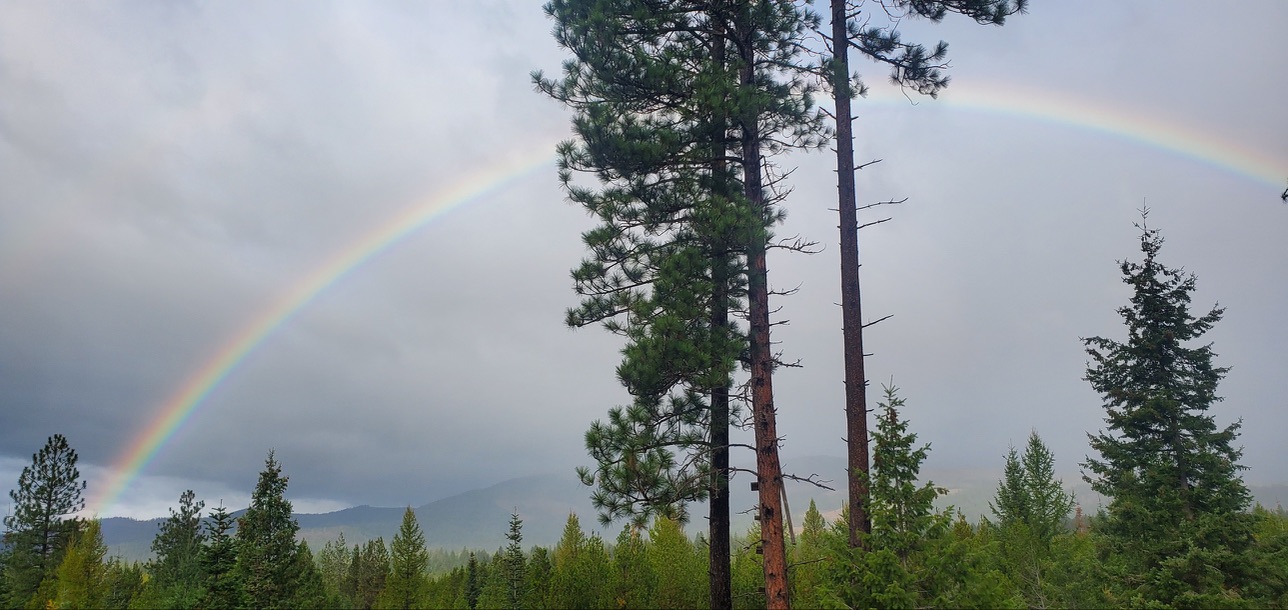 Bonner County landscape